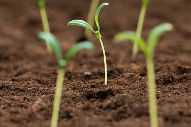 Similar image 498460