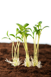 Similar image 498462