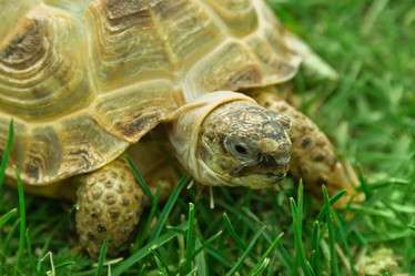 Similar image 498470