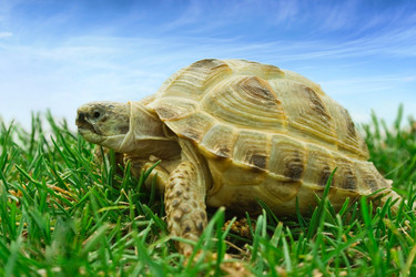 Similar image 498471