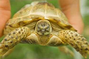 Similar image 498473