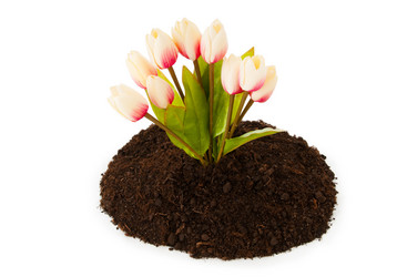 Similar image 498475