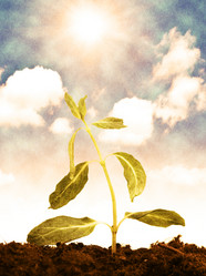 Similar image 498487