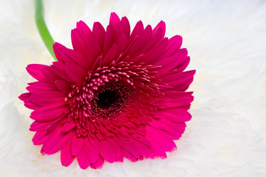 Similar image 498495