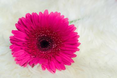 Similar image 498496