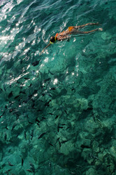 Similar image 498497