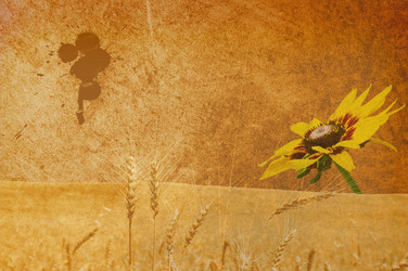 Similar image 498499