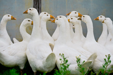 Similar image 498520