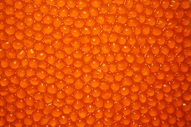 Similar image 498529