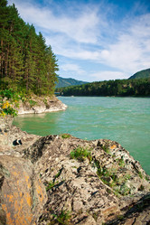 Similar image 498542