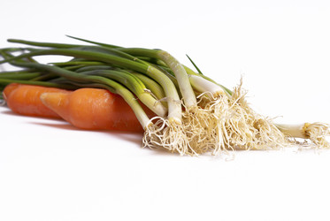 Similar image 498553