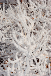 Similar image 498709