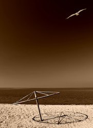 Similar image 498743