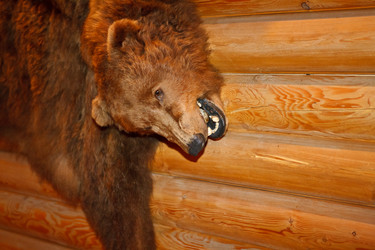 Similar image 498747