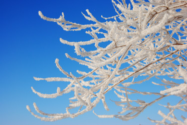 Similar image 498749