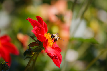 Similar image 498751