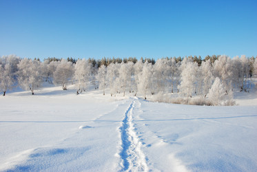 Similar image 498758