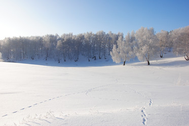 Similar image 498764