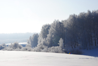 Similar image 498766