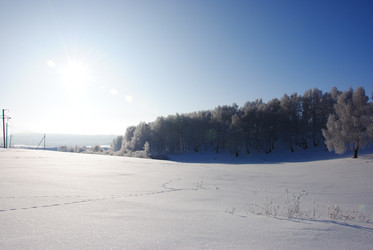 Similar image 498773