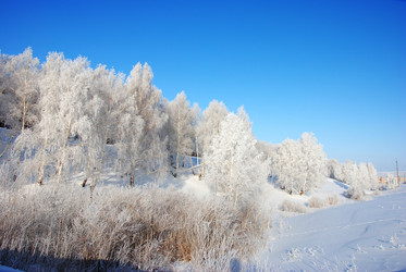 Similar image 498778