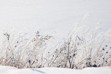 Similar image 498786