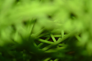 Similar image 498793