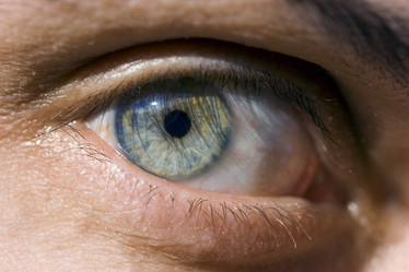 Similar image 498815