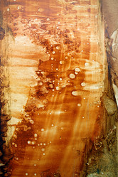 Similar image 498875