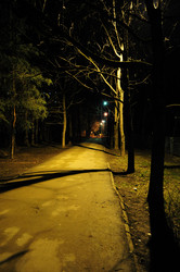 Similar image 498883