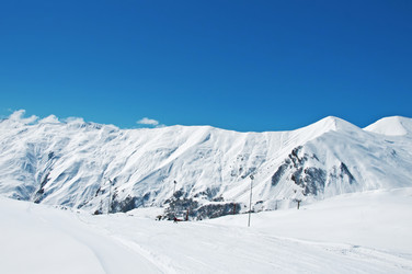 Similar image 498884