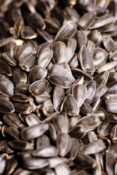 Similar image 498917