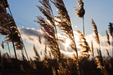 Similar image 498983