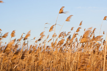 Similar image 498984