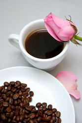 Similar image 498987