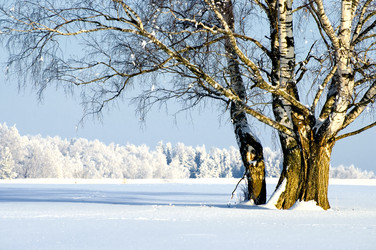 Similar image 498992