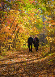 Similar image 499005