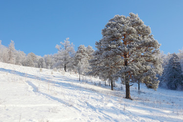 Similar image 499006