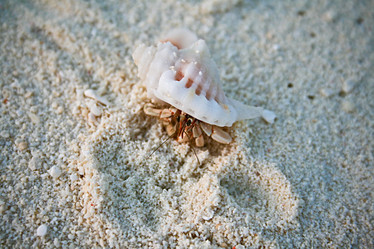 Similar image 499029