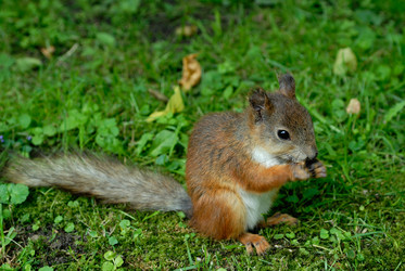 Similar image 499038