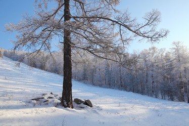 Similar image 499078