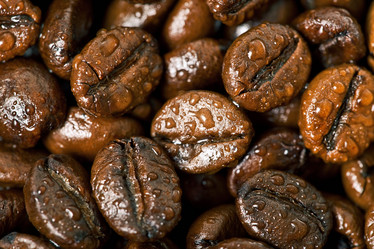 Similar image 499085