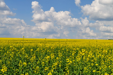 Similar image 499086