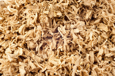 Similar image 499094