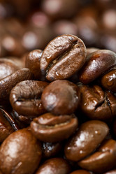 Similar image 499095