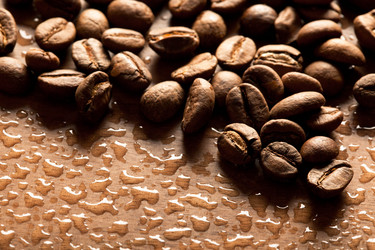 Similar image 499101