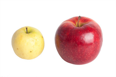 Similar image 499155