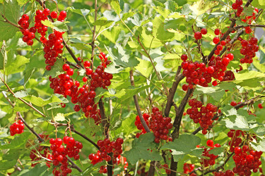 Similar image 499163