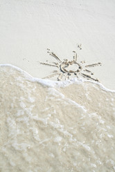 Similar image 499172