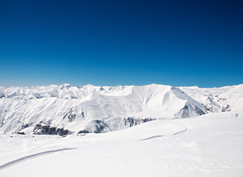 Similar image 499175